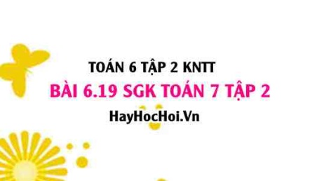 Bài 6.19 SGK Toán 7 tập 2 Kết nối tri thức
